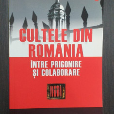 CULTELE DIN ROMANIA - INTRE PRIGONIRE SI COLABORARE - CARMEN CHIVU DUTA