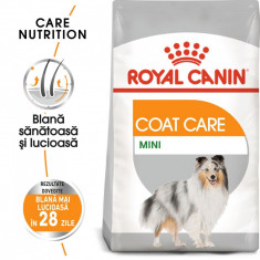 Royal Canin Mini Coat Care Adult hrana uscata caine, blana sanatoasa si lucioasa