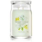 Yankee Candle Midnight Jasmine lum&acirc;nare parfumată I. Signature 567 g