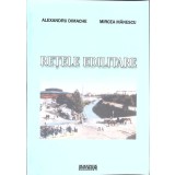 RETELE EDILITARE-ALEXANDRU DIMACHE, MIRCEA MANESCU-271333