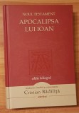 Noul Testament: Apocalipsa lui Ioan, Adevarul Badilita