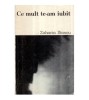 Zaharia Stancu - Ce mult te-am iubit - 121263