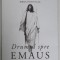 DRUMUL SPRE EMAUS , 52 DE INTERVIURI , BIBLIA INTR - UN AN de CHRISTIAN SALCIANU , 2024