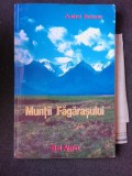 MUNTII FAGARASULUI - ANDREI BELEAUA