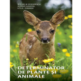 Determinator de plante si animale