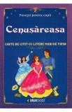 Cenusareasa. Carte de citit cu litere mari de tipar