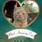 Mac: Most Amazing Cat