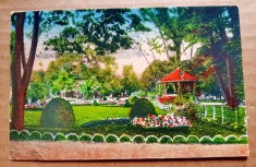 F683-Timisoara la 1920-Parcul de Stat al Rozelor circulata la Bucuresti 1923.