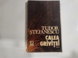 Calea Grivitei de Tudor Stefanescu