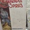 Camaradul Spiridus - C. Manolache