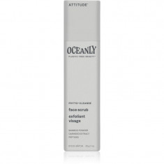 Attitude Oceanly Face Scrub peeling solid exfoliant faciale 30 g