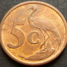 Moneda exotica 5 CENTI - AFRICA DE SUD, anul 2008 * cod 2967 - UMZANTSI AFRIKA