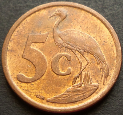 Moneda exotica 5 CENTI - AFRICA DE SUD, anul 2008 * cod 2967 - UMZANTSI AFRIKA foto