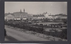 Carte Postala Romania Satu Mare - Piata Regele Carol