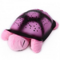 Lampa de veghe broasca testoasa turtle night sky foto