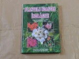 PLANTELE NOASTRE INDRAGITE