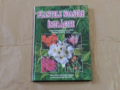 PLANTELE NOASTRE INDRAGITE foto