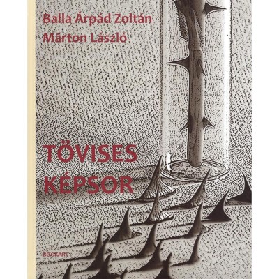 T&amp;ouml;vises k&amp;eacute;psor - Balla &amp;Aacute;rp&amp;aacute;d Zolt&amp;aacute;n foto