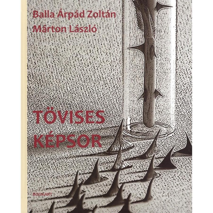 T&ouml;vises k&eacute;psor - Balla &Aacute;rp&aacute;d Zolt&aacute;n