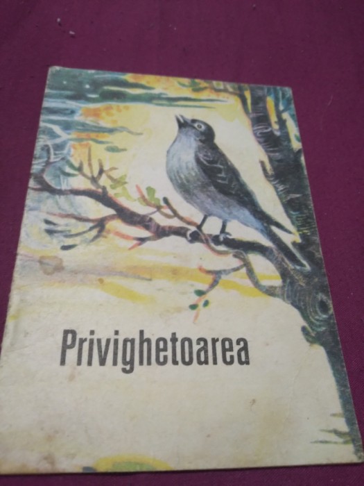 PRIVIGHETOAREA-SIMION FLOREA MARIAN ILUSTRATII COCA CRETOIU SEINESCU