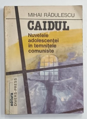 CAIDUL , NUVELELE ADOLESCENTEI IN TEMNITELE COMUNISTE de MIHAI RADULESCU , 1992 foto
