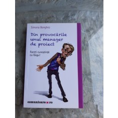 DIN PROVOCARILE UNUI MANAGER DE PROIECT - SIMONA BONGHEZ