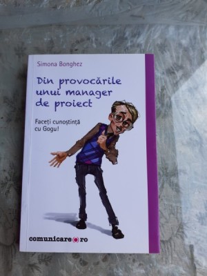 DIN PROVOCARILE UNUI MANAGER DE PROIECT - SIMONA BONGHEZ foto