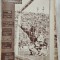 Revista SPORT nr. 10 (129) - Mai 1964 - Maria Alexandru