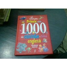 PRIMELE MELE 100 DE CUVINTE IN LIMBA ENGLEZA, DICTIONAR ILUSTRAT