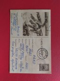 1962 - INTREG POSTAL - RPR - PINUL TROIENIT