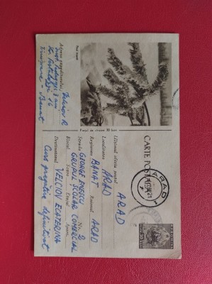 1962 - INTREG POSTAL - RPR - PINUL TROIENIT foto