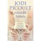 M&aacute;sodik l&aacute;t&aacute;sra - Jodi Picoult