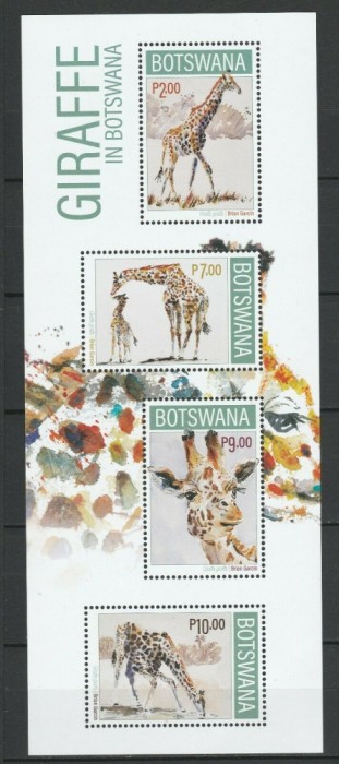 BOTSWANA 2020 FAUNA ANIMALE SALBATICE GIRAFE