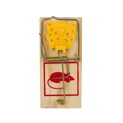 Set 20 capcane pentru Soareci, 10 x 4.5 cm foto