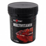 Multivitamine REPTI PLANET 125 g