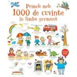 Cumpara ieftin Primele mele 1000 de cuvinte in limba germana