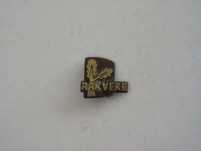 QW9 N4 61 - insigna - orase - Rakvere foto