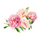 Cumpara ieftin Sticker decorativ Flori, Roz, 77 cm, 7636ST, Oem