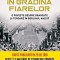 In Gradina Fiarelor