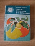 CULTURA CITRICELOR IN GOSPODARIE &ndash; MARI ANN DROBOTA (1988)