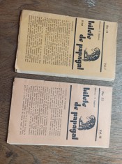 BILETE DE PAPAGAL, LOT DOUA NUMERE INTERBELICE