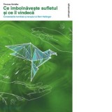 Ce imbolnaveste sufletul si ce il vindeca. Constelatiile familiale si terapia lui Bert Hellinger - Sorana Otetea, Thomas Schafer