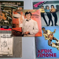5 discuri de vinyl / vinil, Electrecord anii 80, Dandel, Andries, muzica usoara