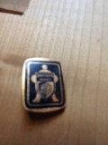 Insigne (10) Industrie Protectia Muncii