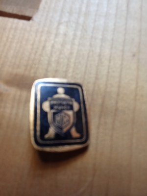 Insigne (10) Industrie Protectia Muncii foto