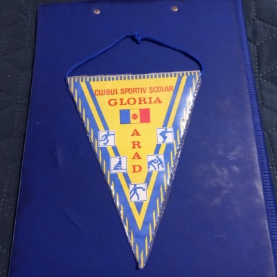 fanion CSSc. Gloria Arad foto
