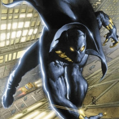 Black Panther by Christopher Priest Omnibus Vol. 1