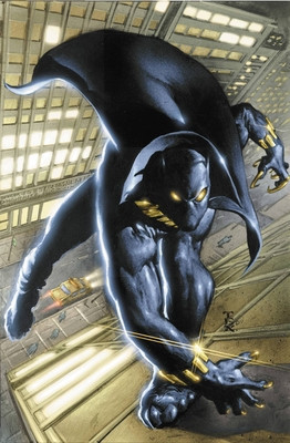 Black Panther by Christopher Priest Omnibus Vol. 1 foto