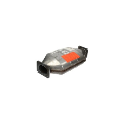 Filtru particule BMW X5 E53 BM CATALYSTS BM11030 foto