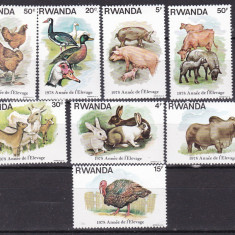 Rwanda 1978 fauna domestica MI 966-973 MNH